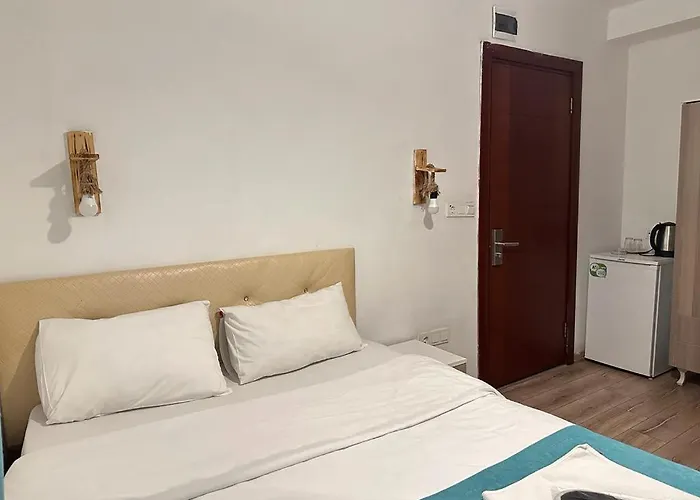 Hotel Taksim Soushian Istanbul